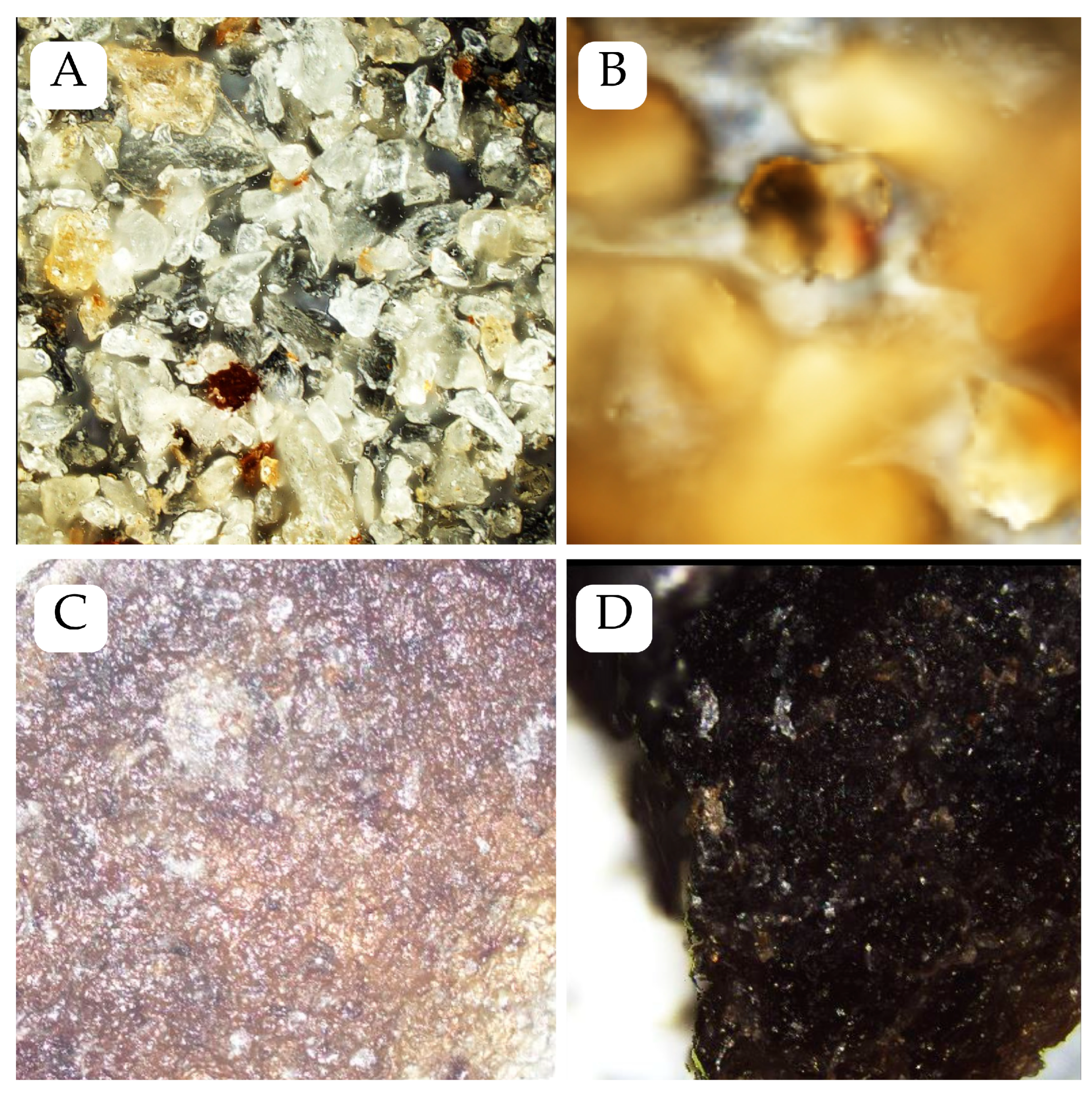Applsci 16 02675 g005 Applsci 16 02675 g005