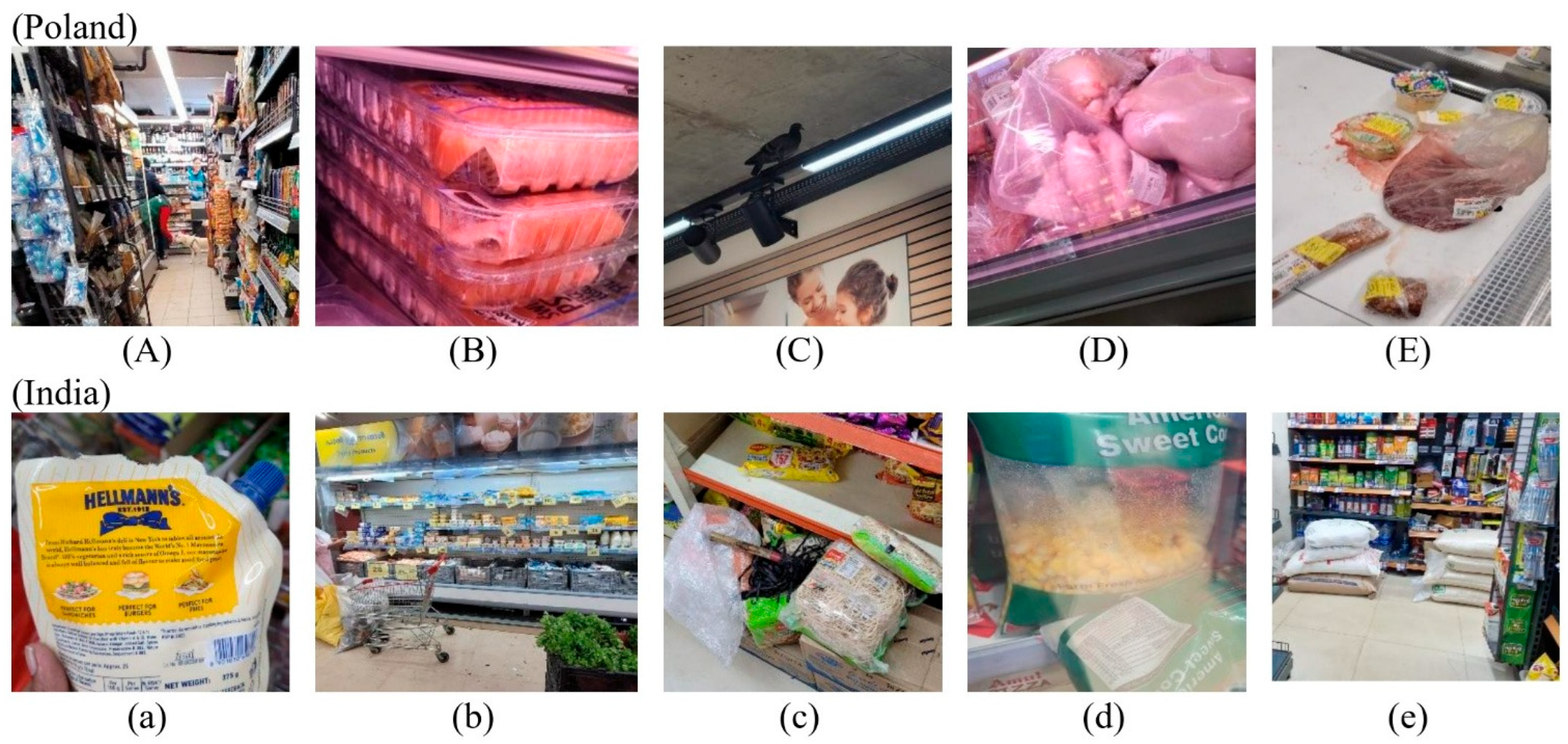 Applsci 16 03130 g003 Applsci 16 03130 g003