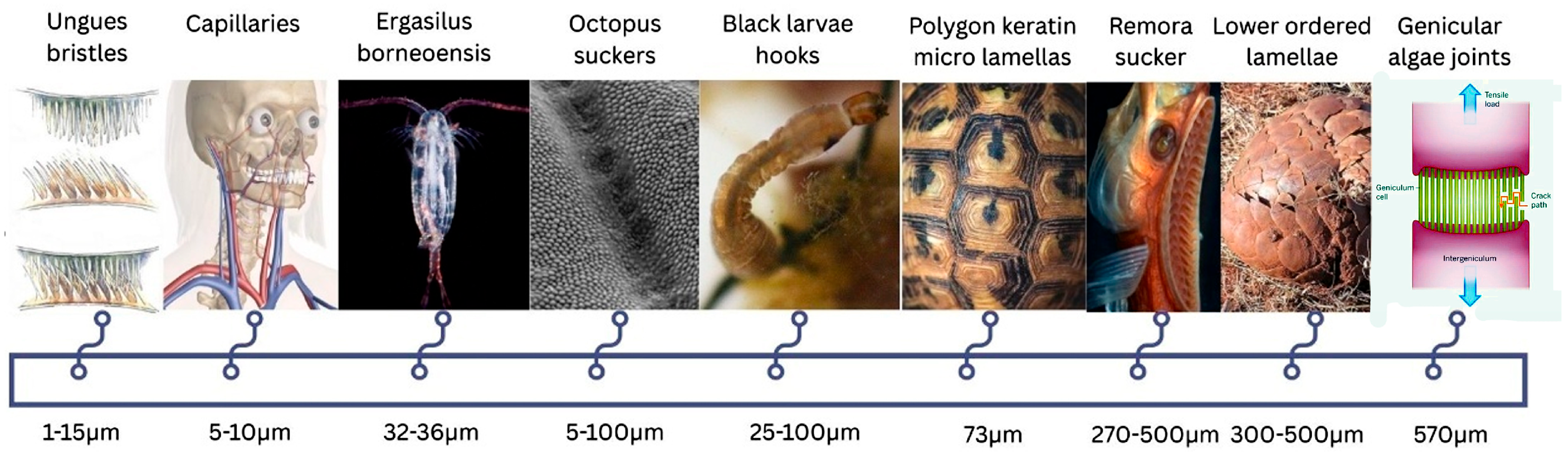 Applsci 16 04112 g002 Applsci 16 04112 g002
