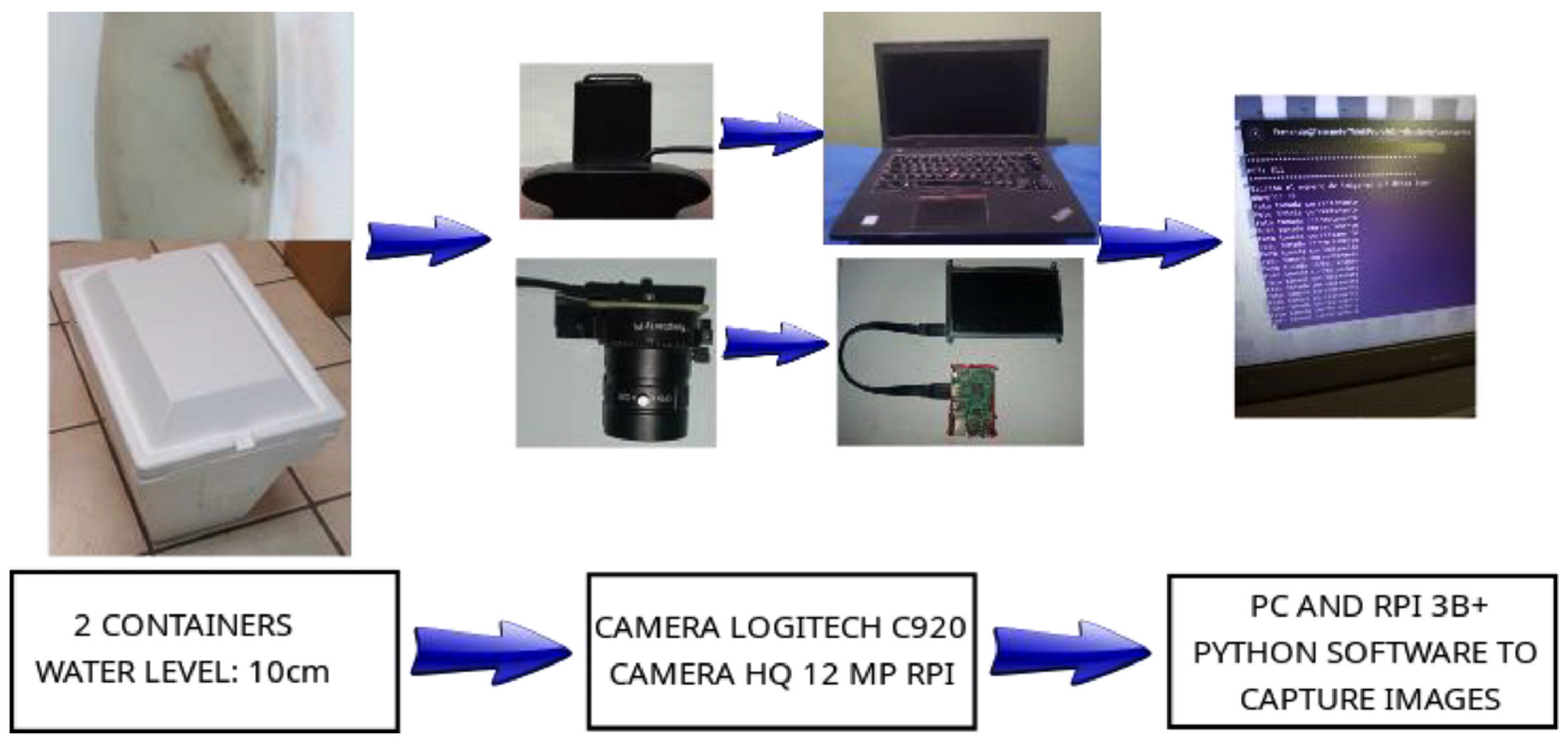 Applsci 16 04249 g001 Applsci 16 04249 g001