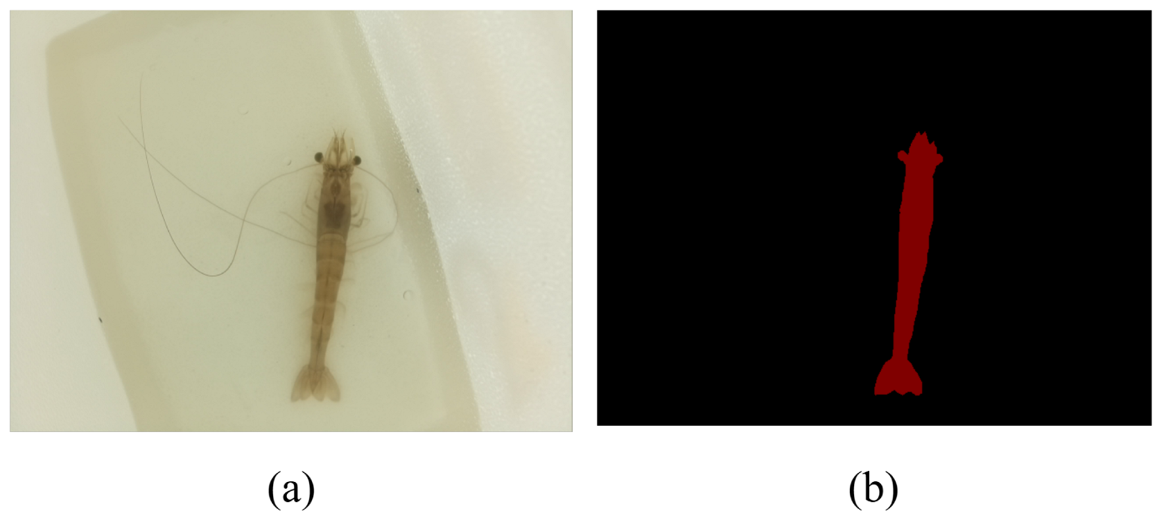 Applsci 16 04249 g002 Applsci 16 04249 g002