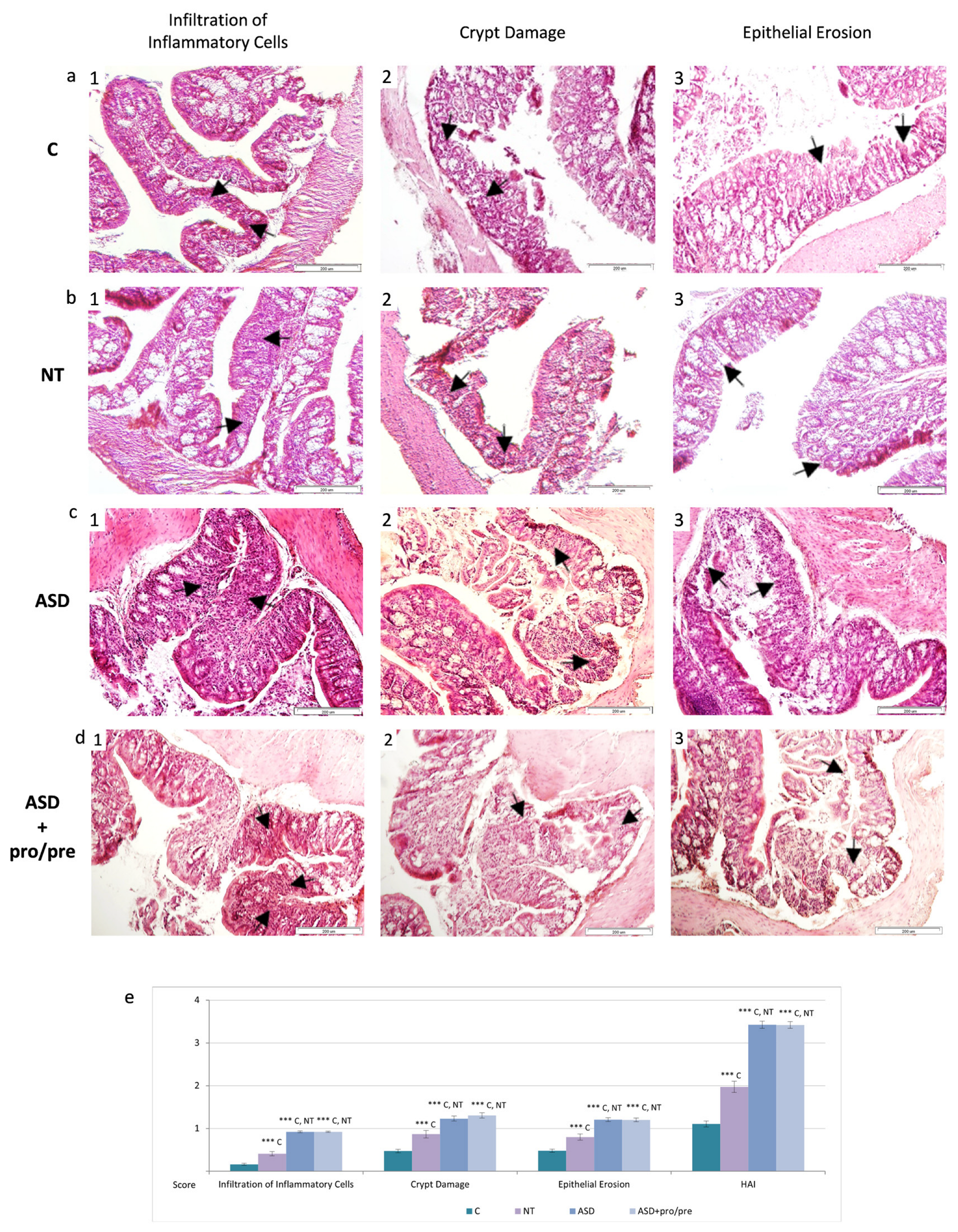 Applsci 16 05529 g005
