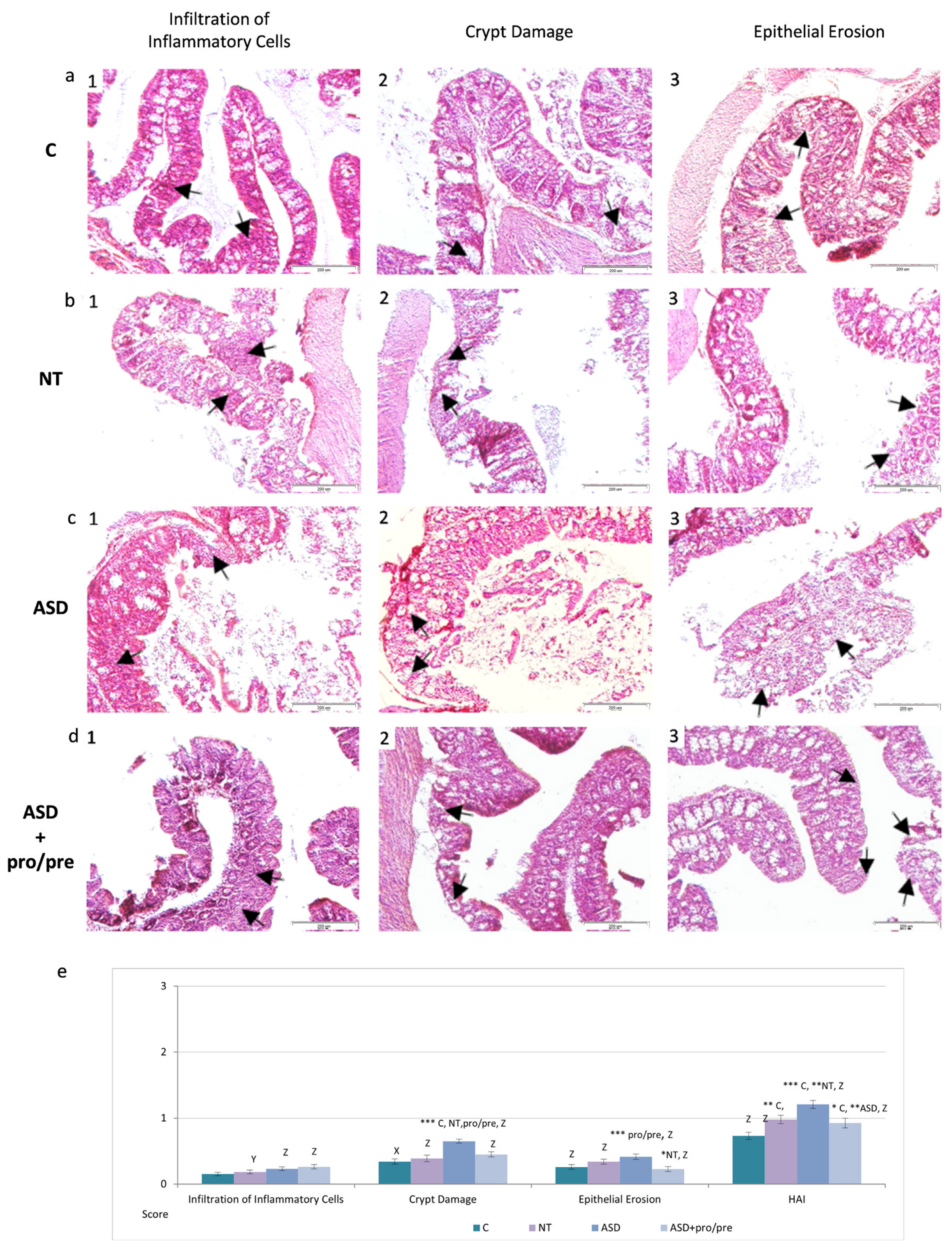 Applsci 16 05529 g006