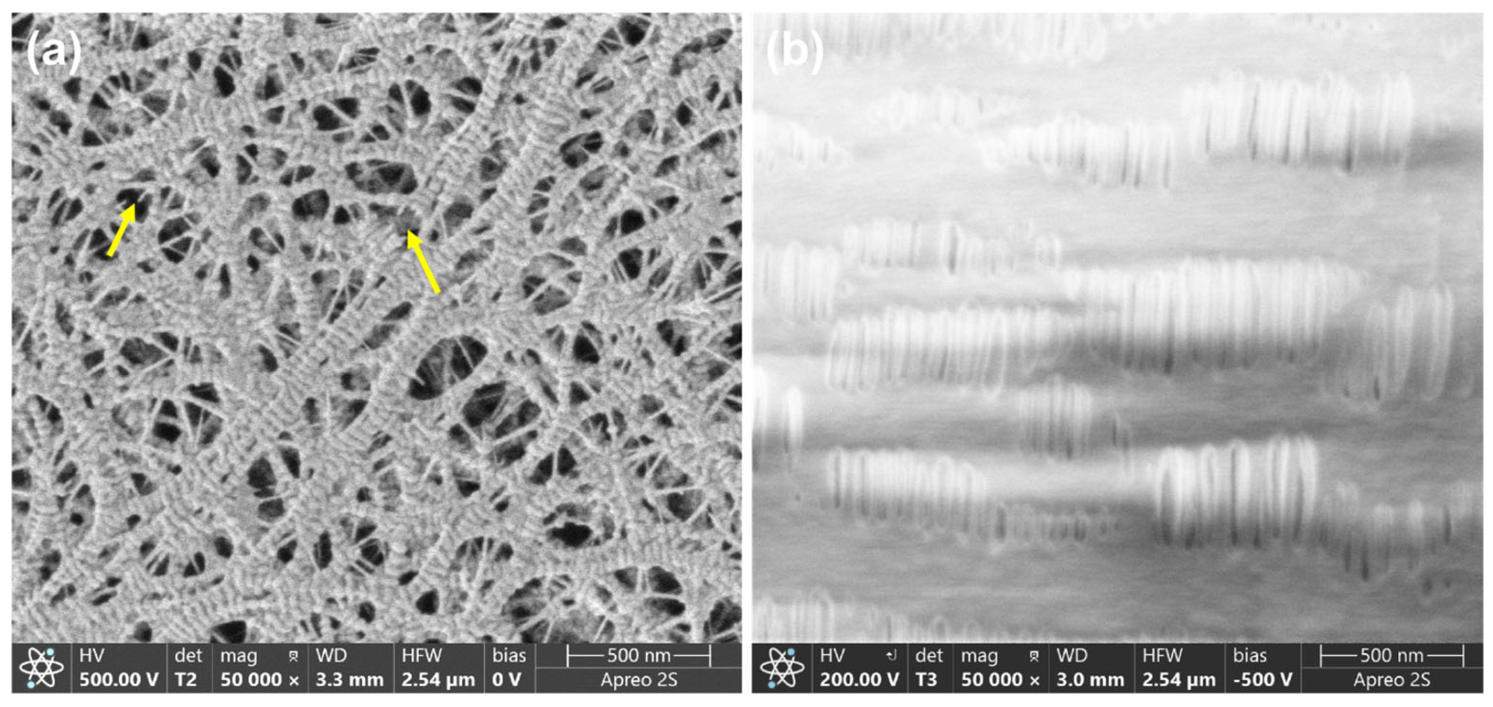 Applsci 16 06045 g001 Applsci 16 06045 g001