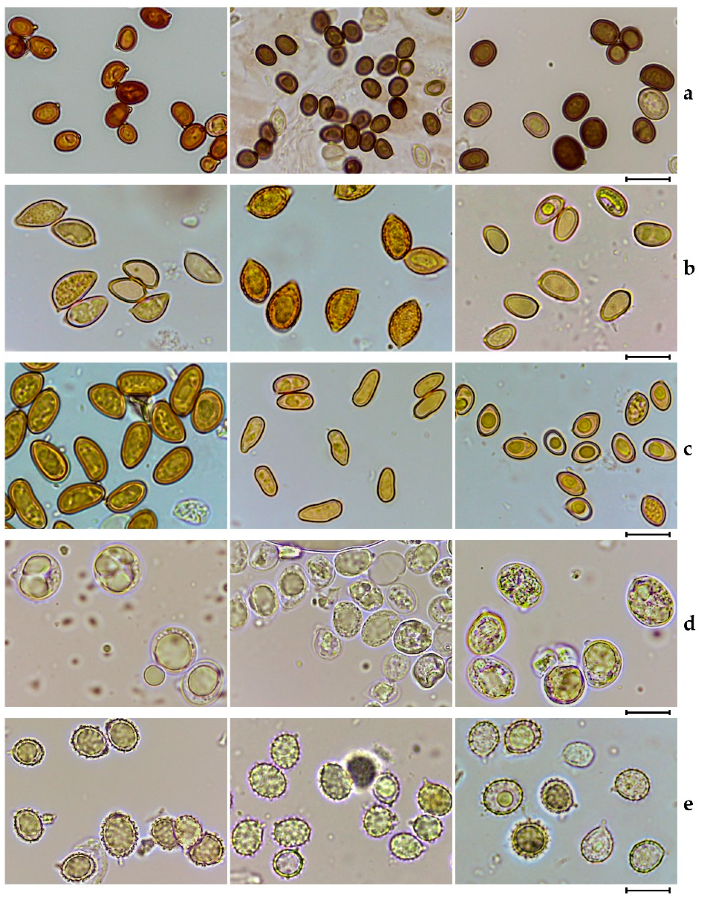 Applsci 16 06167 g002