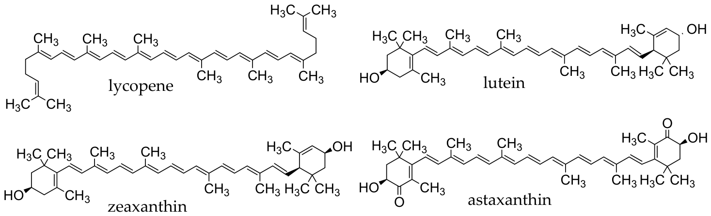 Applsci 16 06789 g003 Applsci 16 06789 g003