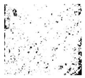Applsci 16 06945 i006 Applsci 16 06945 i006