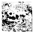 Applsci 16 06945 i010 Applsci 16 06945 i010