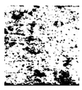 Applsci 16 06945 i016 Applsci 16 06945 i016