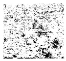 Applsci 16 06945 i020 Applsci 16 06945 i020