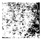 Applsci 16 06945 i026 Applsci 16 06945 i026