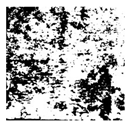 Applsci 16 06945 i028 Applsci 16 06945 i028