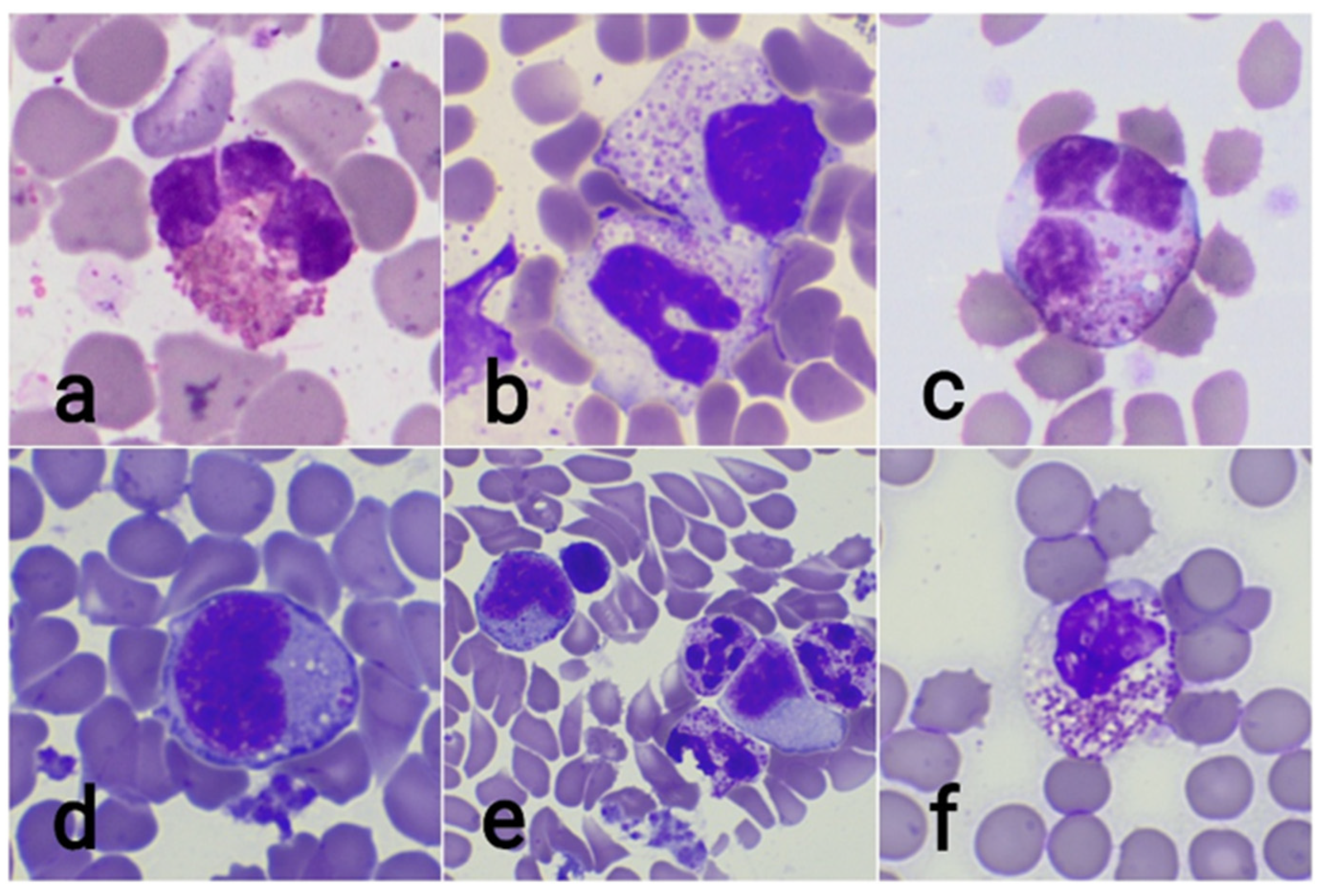 Applsci 16 08901 g002