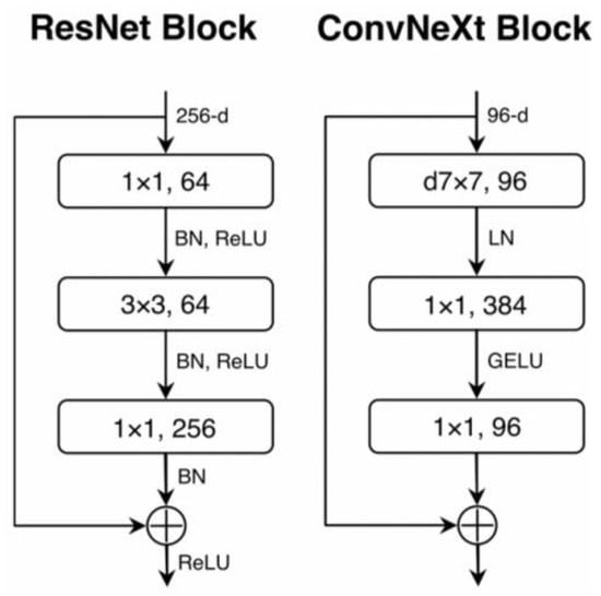 Comparing Deep Learning Models and Information Organization Structures ...