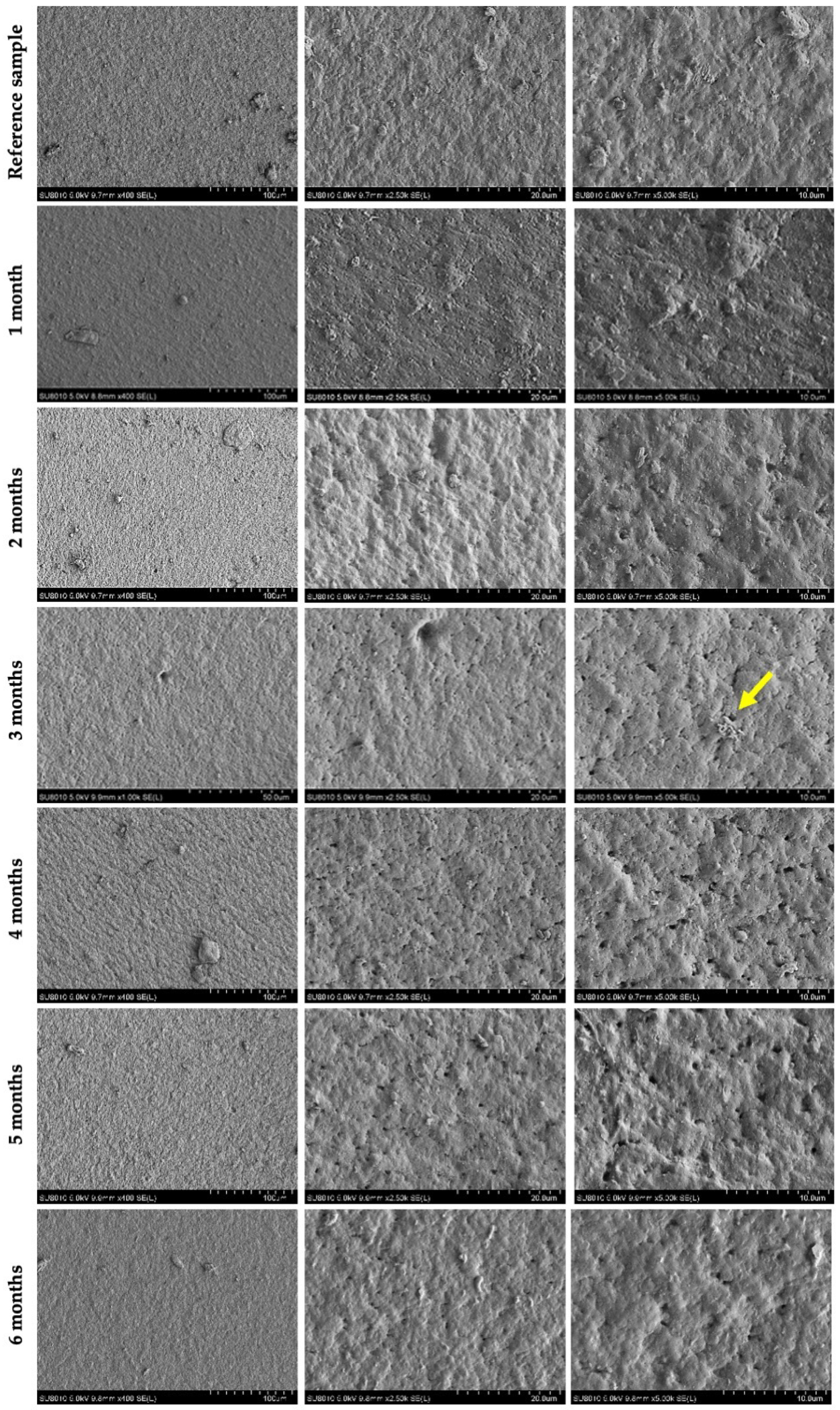 Applsci 16 09697 g005 Applsci 16 09697 g005