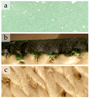 Applsci 16 09697 i004 Applsci 16 09697 i004