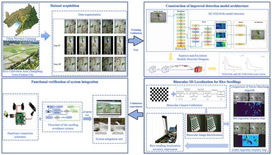Study On Rice A Preliminary Study on Rice Seedling Detection and Binocular ...