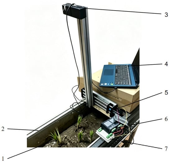 Study On Rice A Preliminary Study on Rice Seedling Detection and Binocular ...