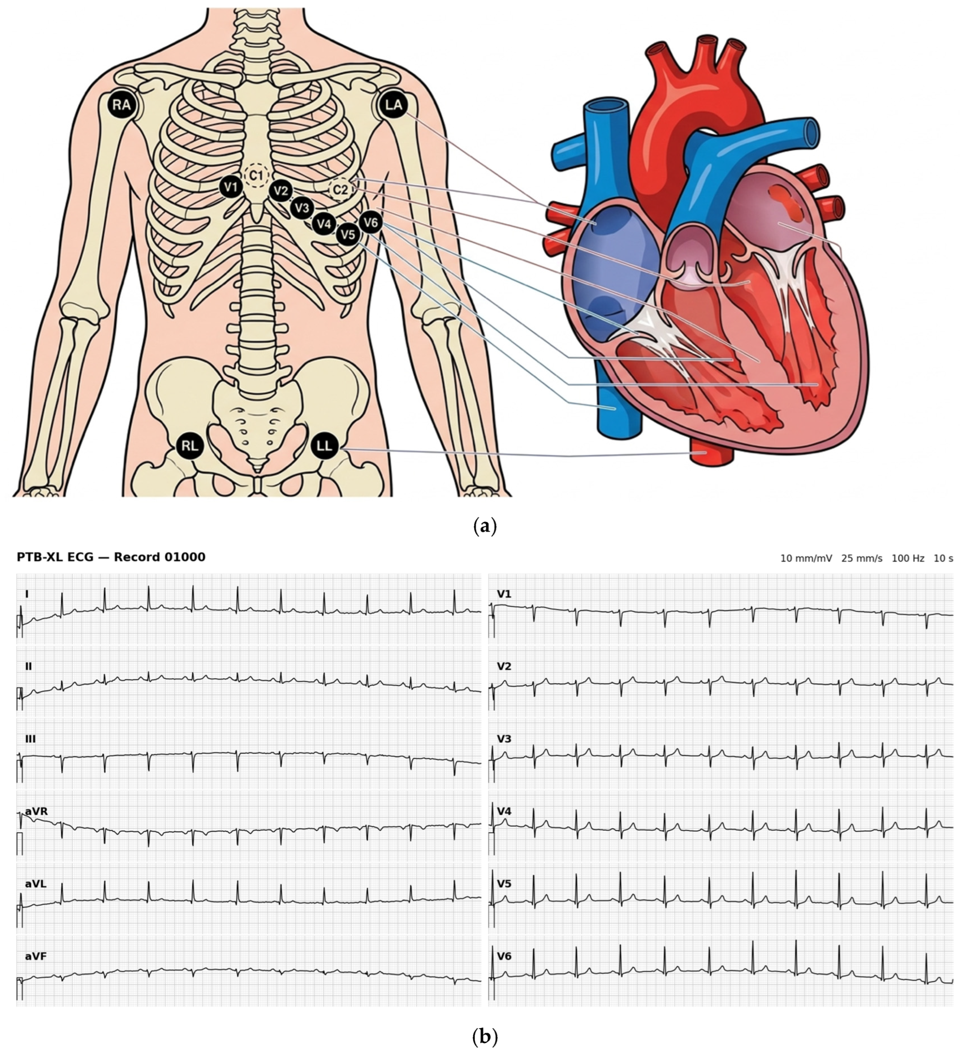 Applsci 16 10093 g001 Applsci 16 10093 g001