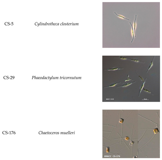 Aquacj 01 00004 g0a1a 550