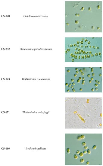 Aquacj 01 00004 g0a1b 550