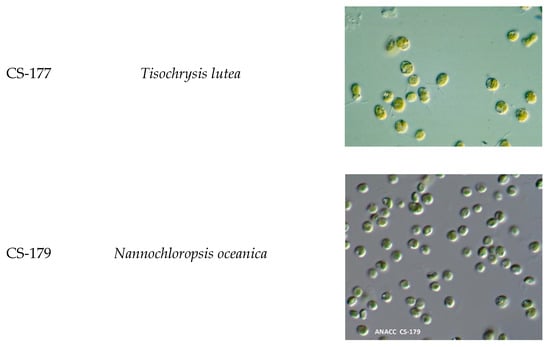 Aquacj 01 00004 g0a1c 550