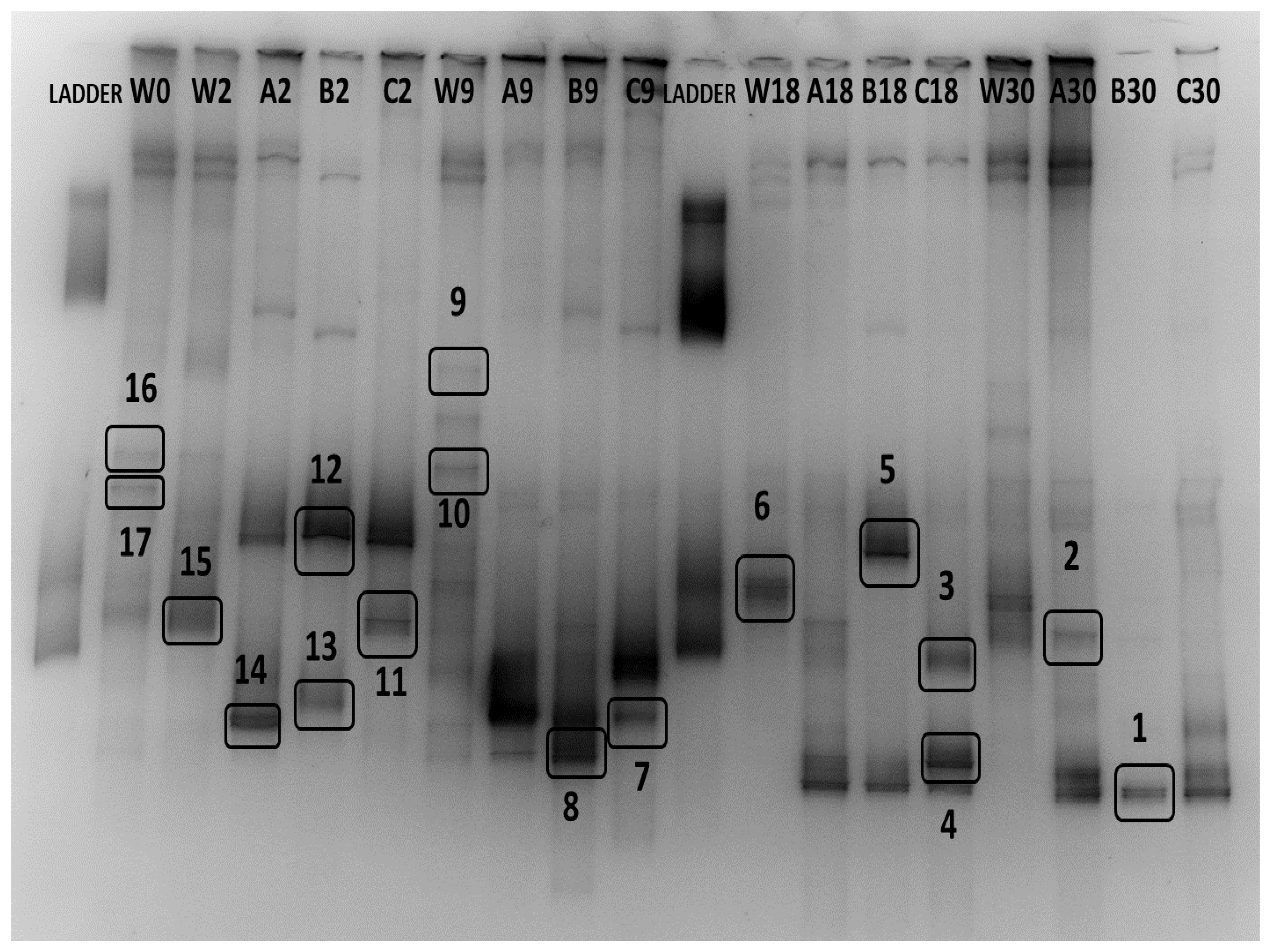 Aquacj 02 00008 g006