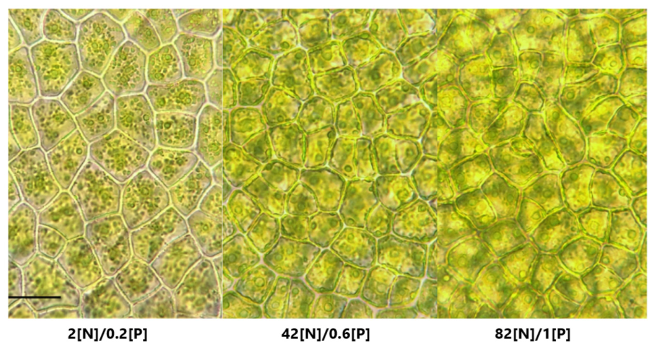 Aquacj 02 00017 g009