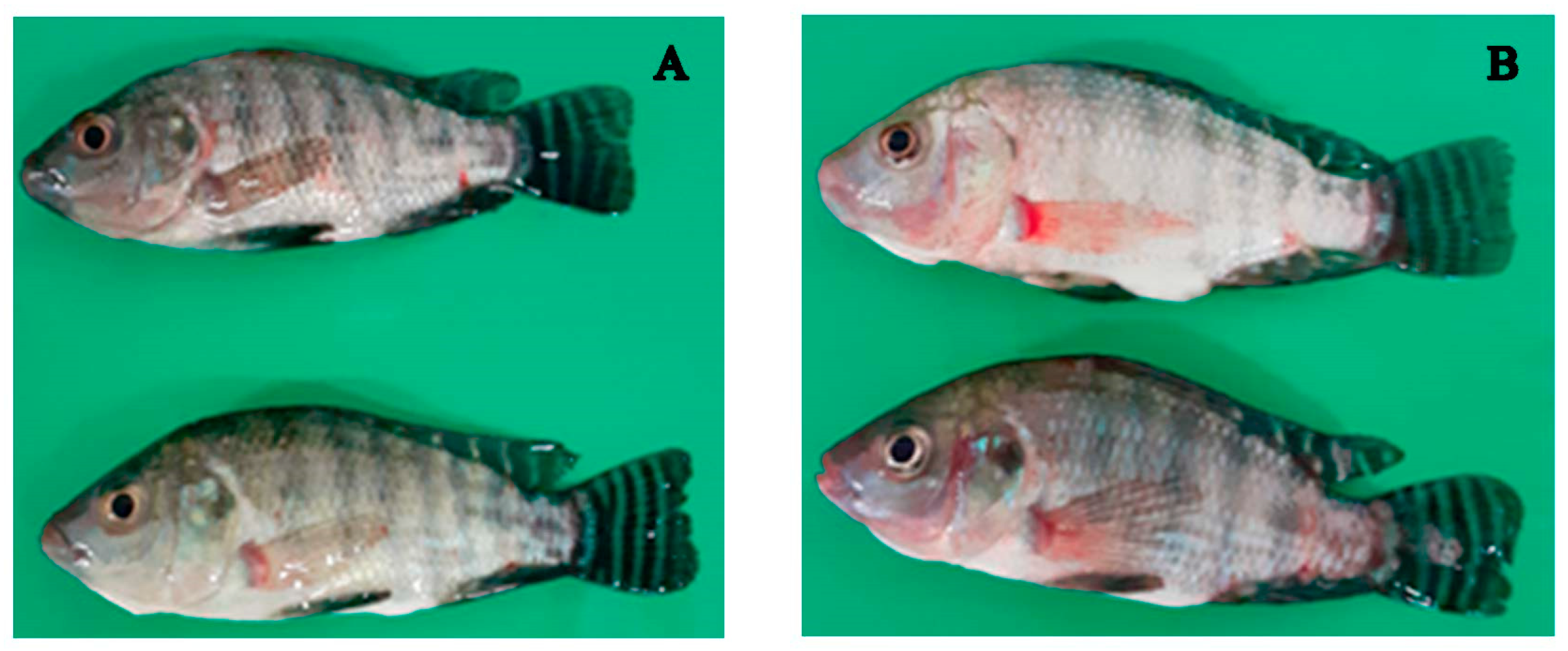 Aquacj 03 00007 g001