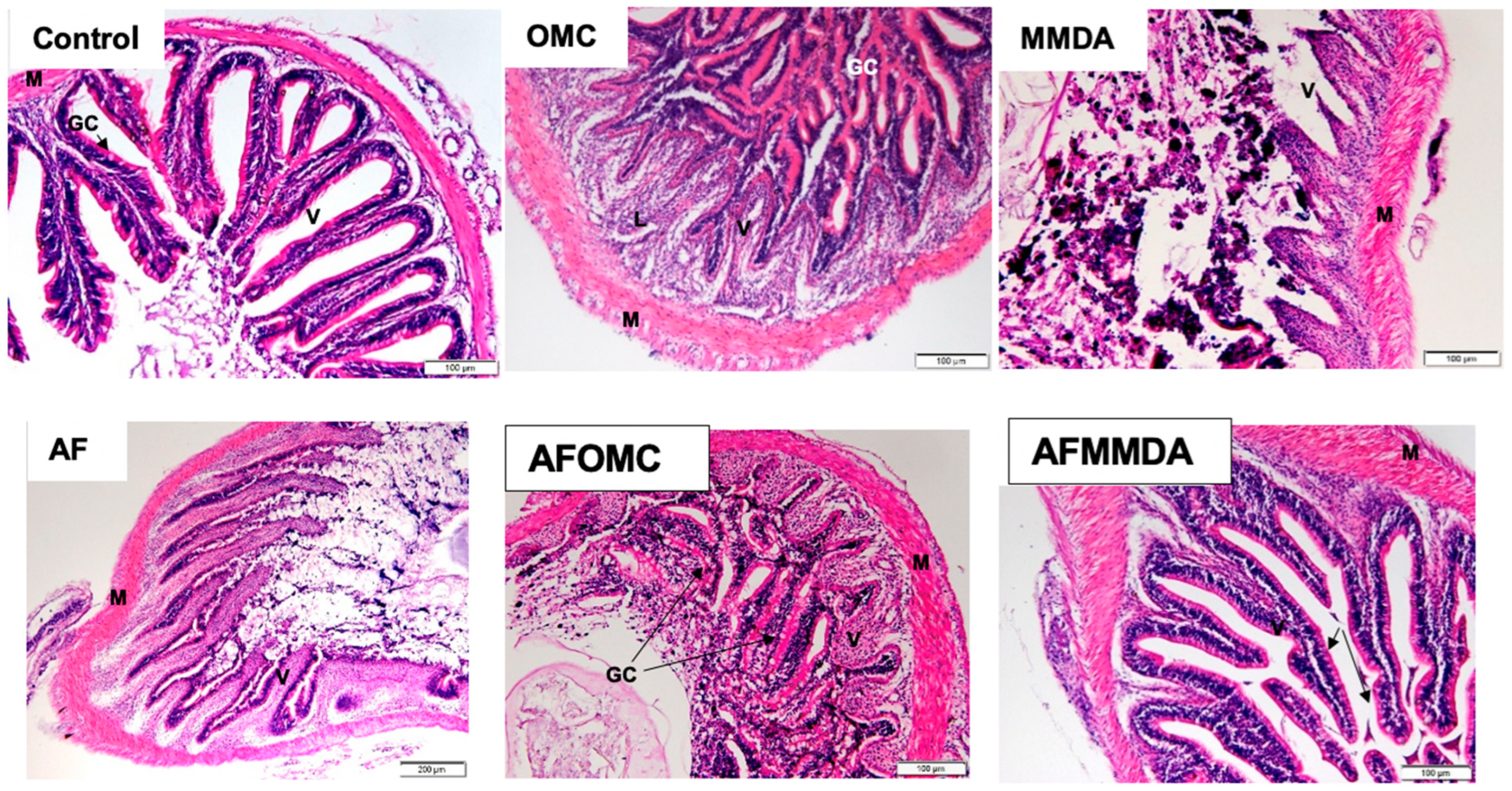 Aquacj 03 00007 g004