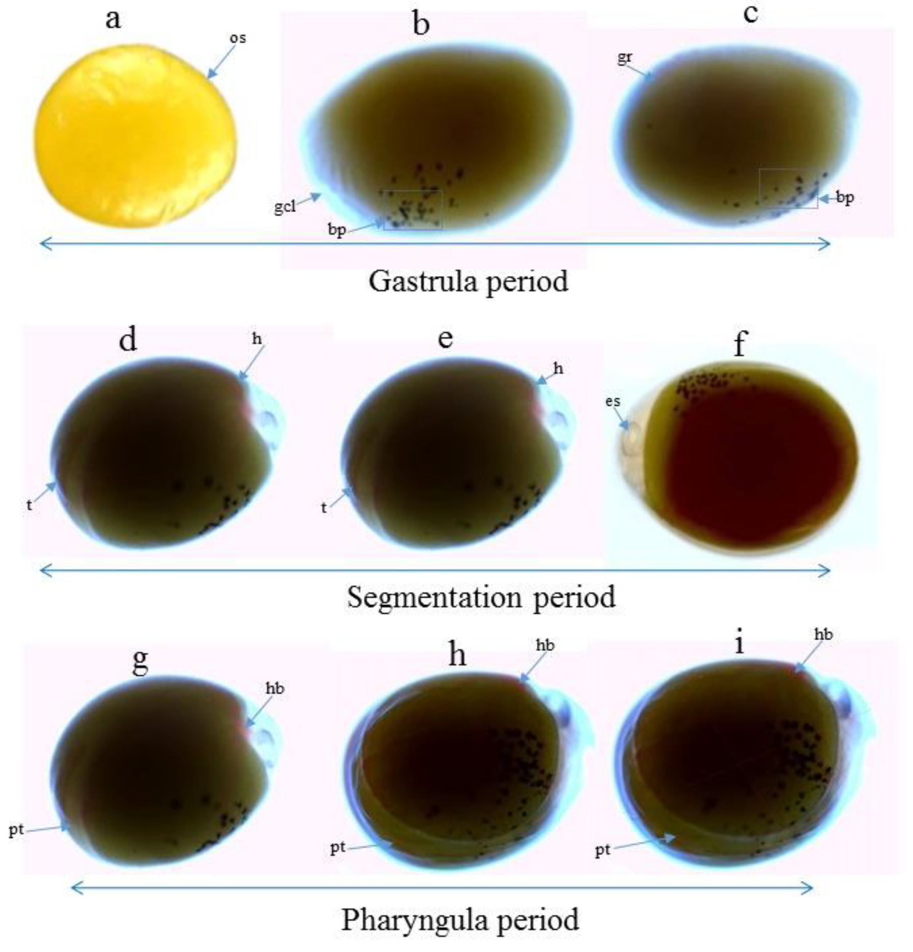 Aquacj 03 00008 g001