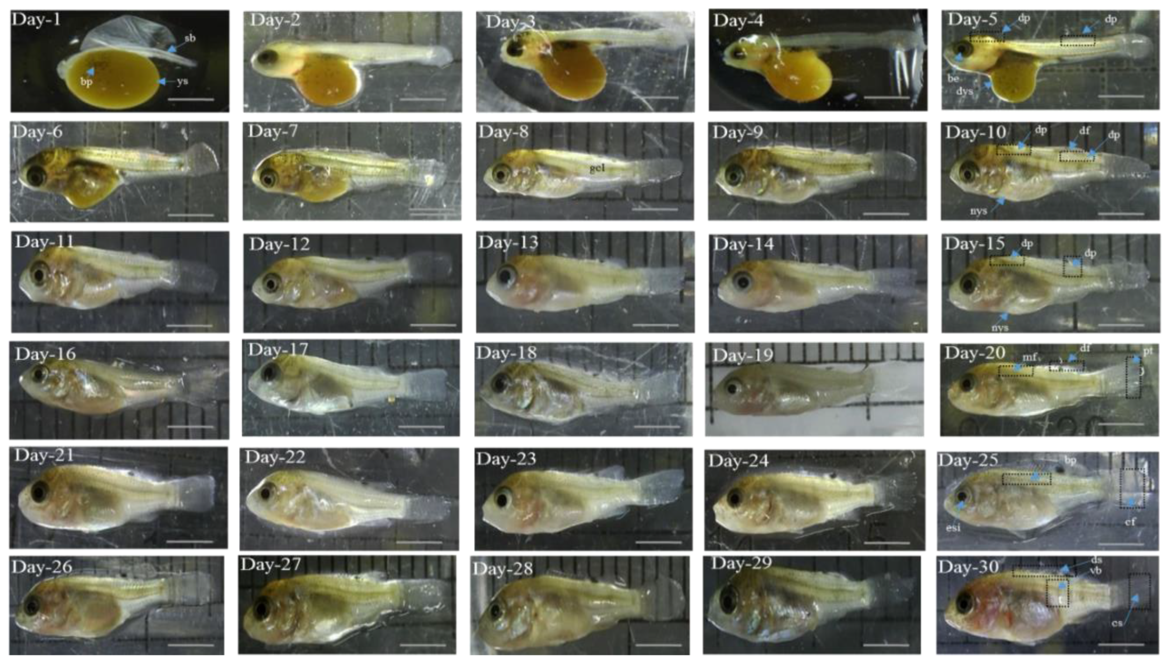 Aquacj 03 00008 g003