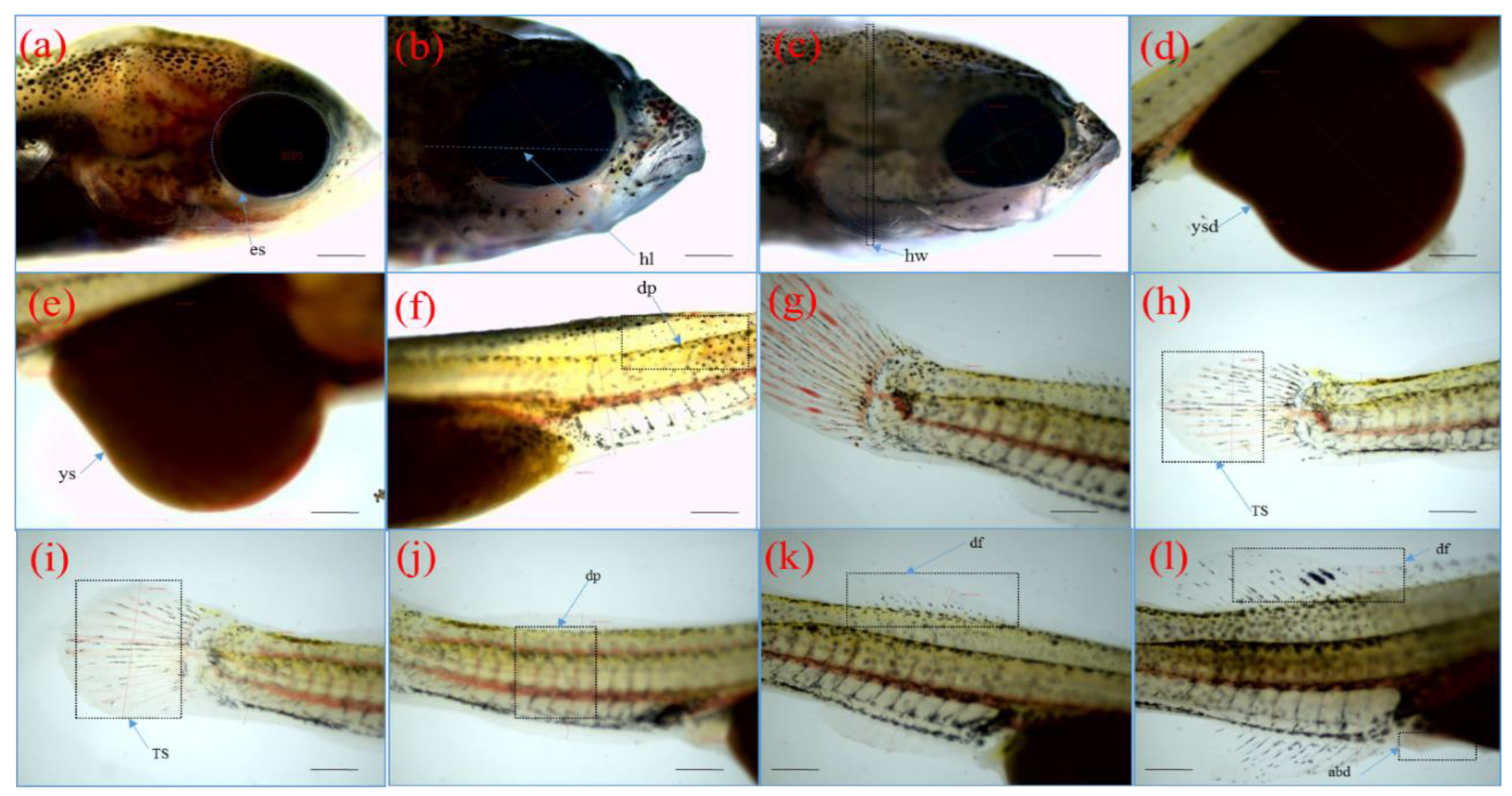 Aquacj 03 00008 g004