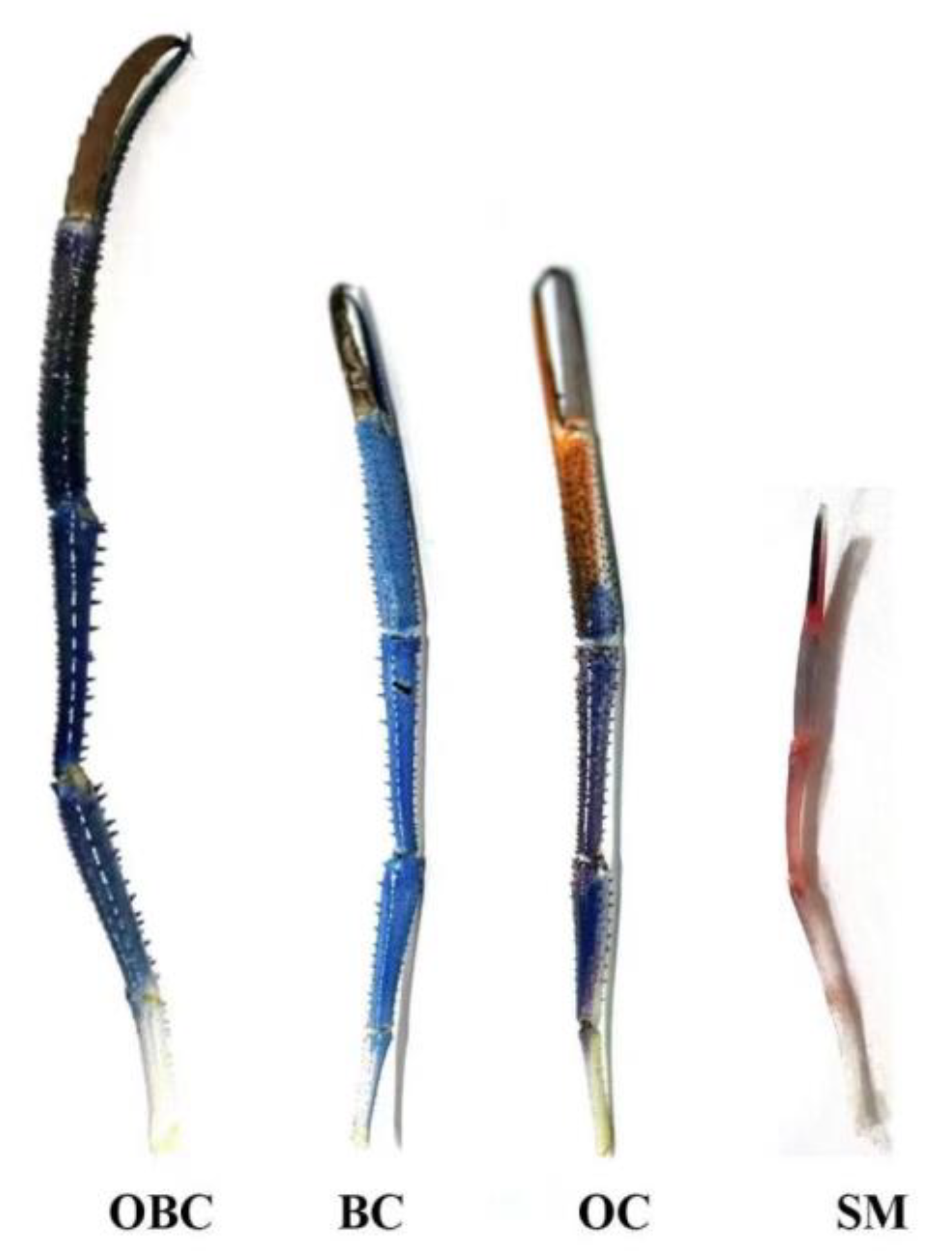 Aquacj 03 00012 g005