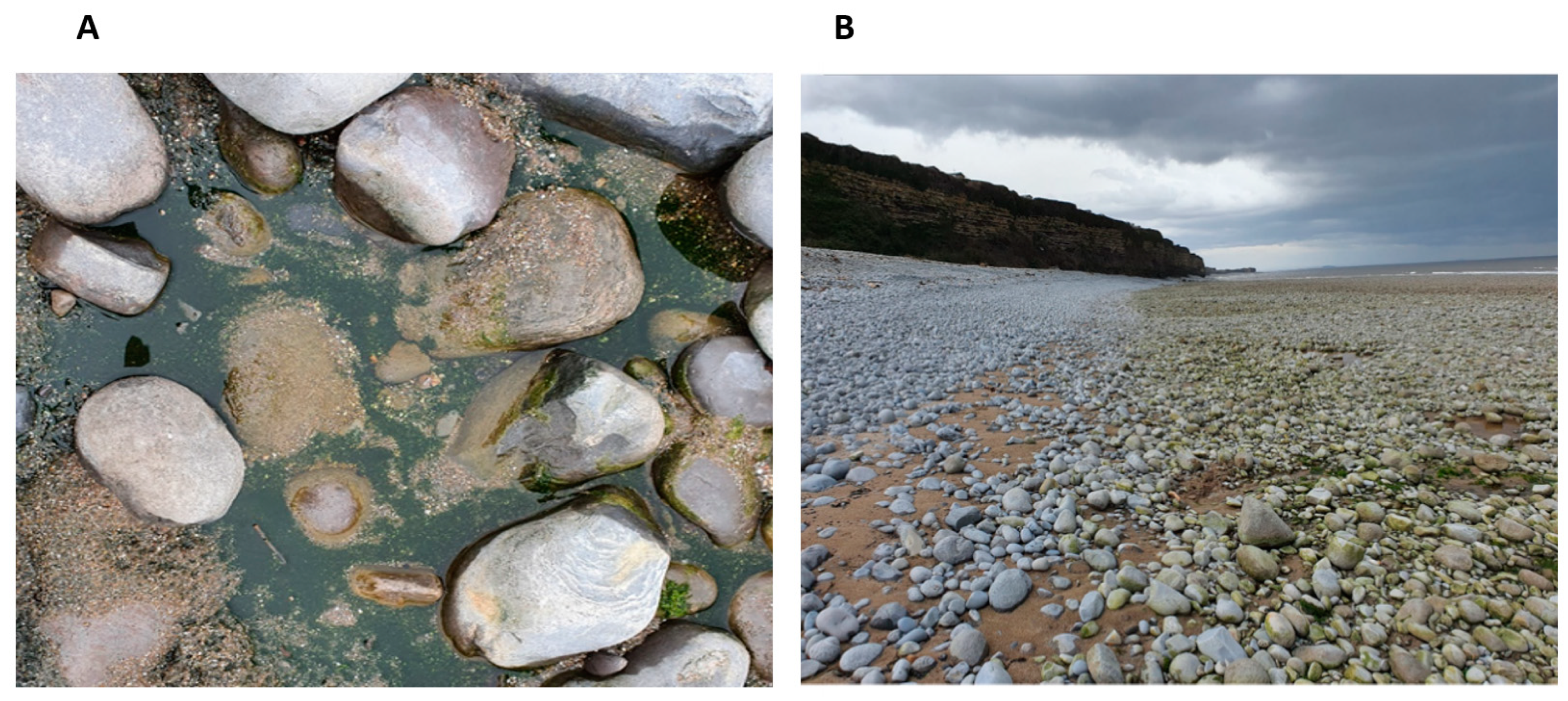 Aquacj 03 00013 g001