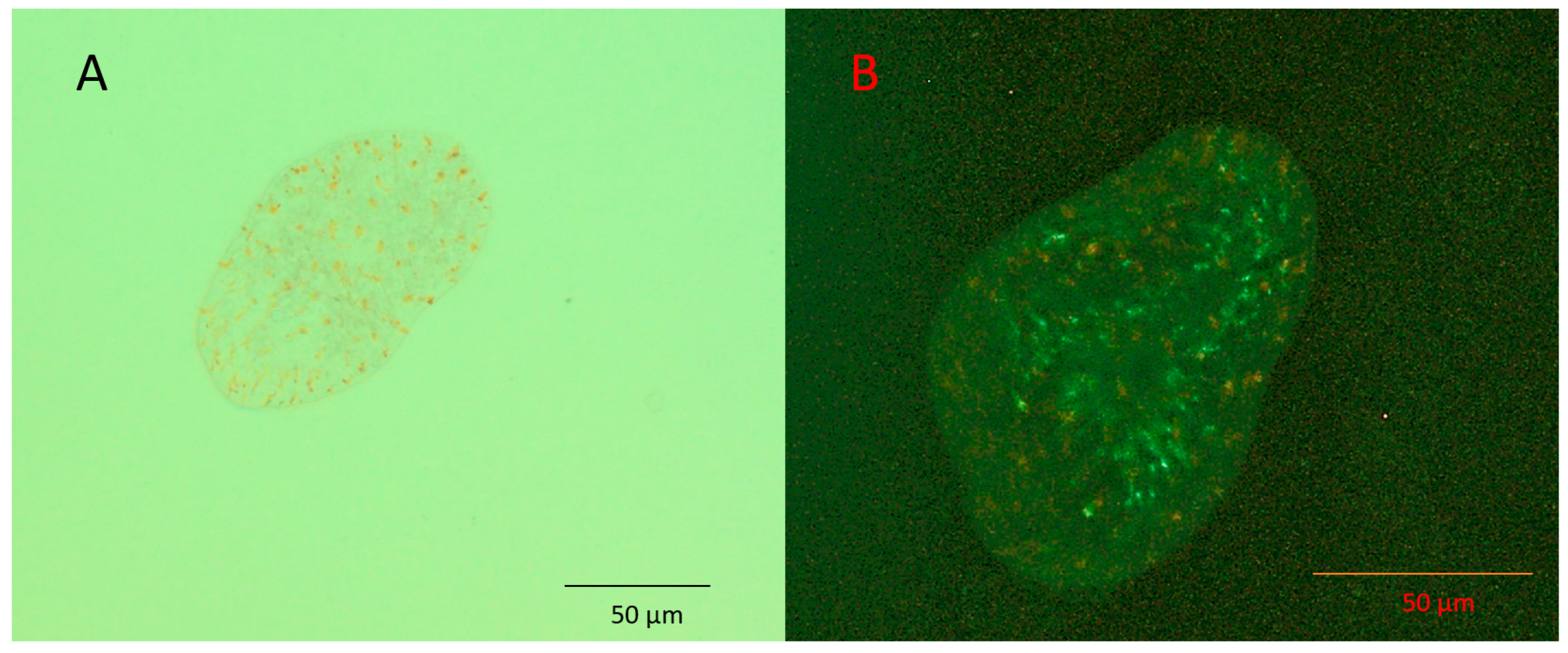 Aquacj 03 00013 g002