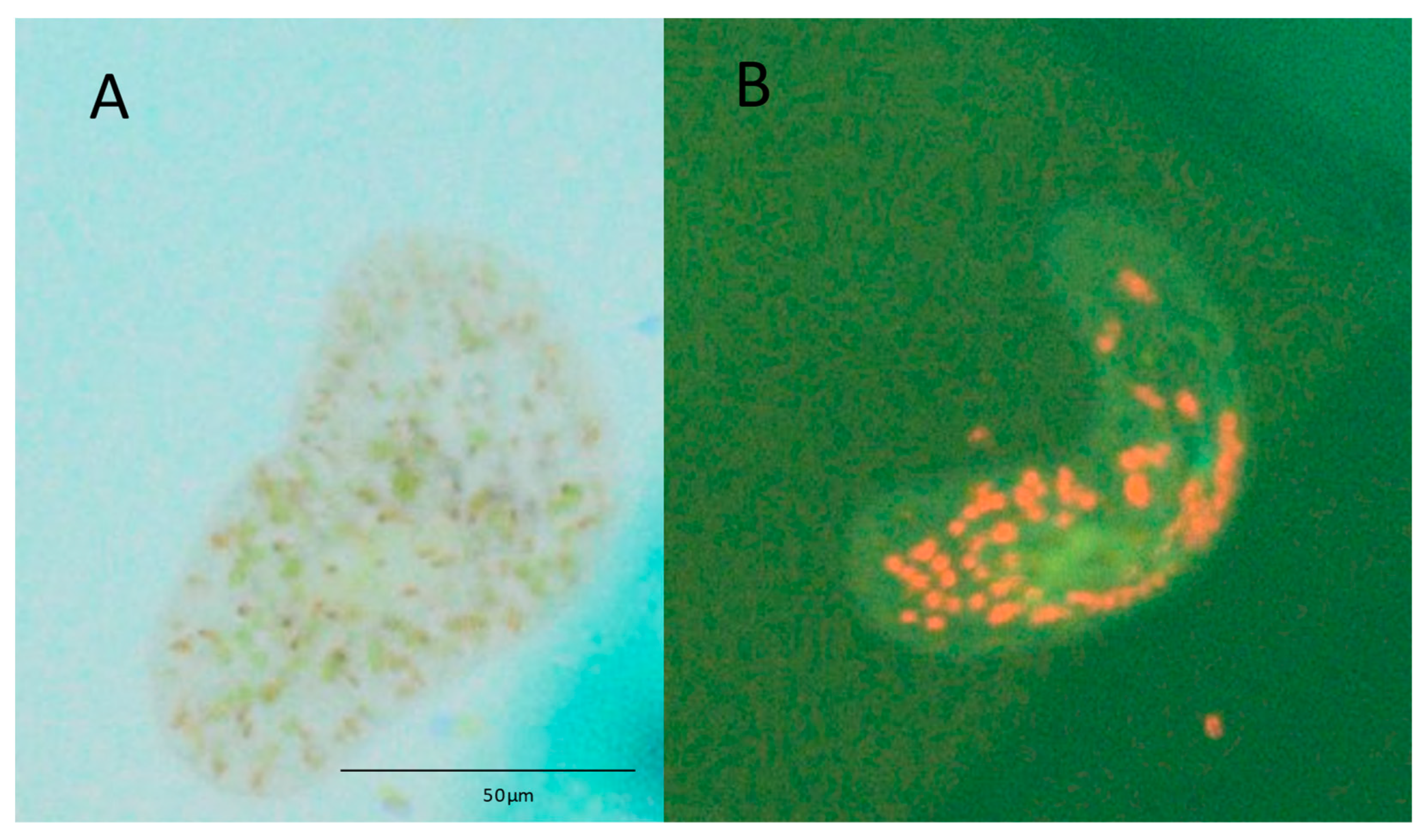 Aquacj 03 00013 g003