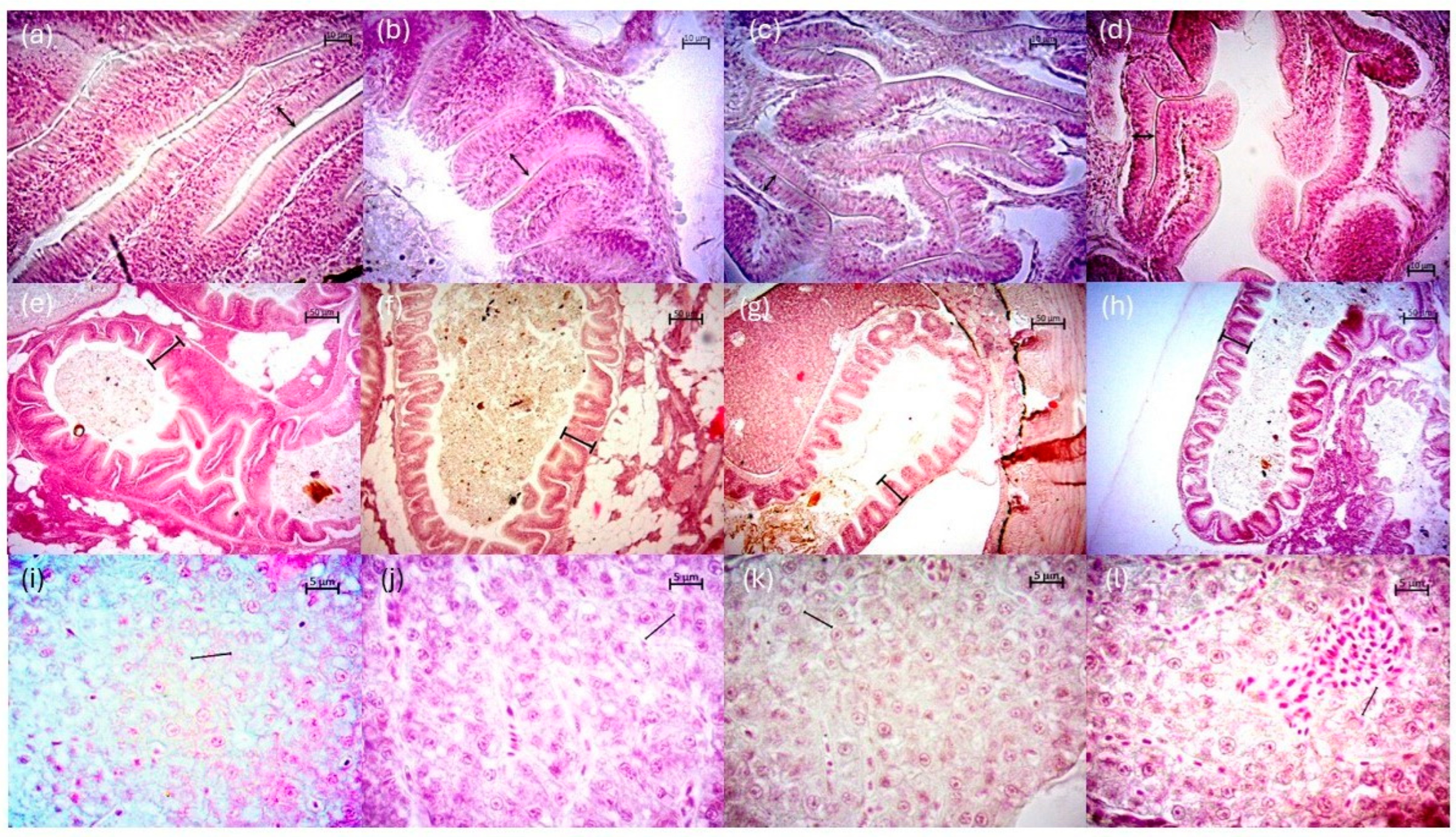 Aquacj 05 00010 g004 Aquacj 05 00010 g004