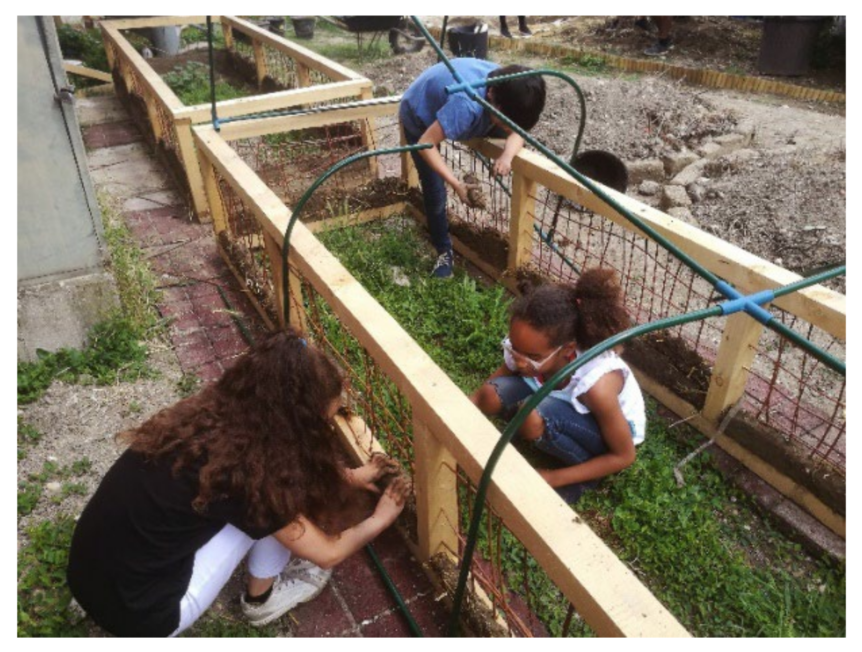 Architecture 02 00005 g005