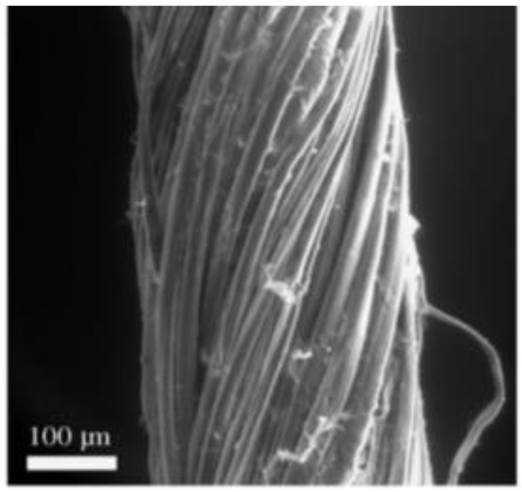 Architecture 02 00008 g021