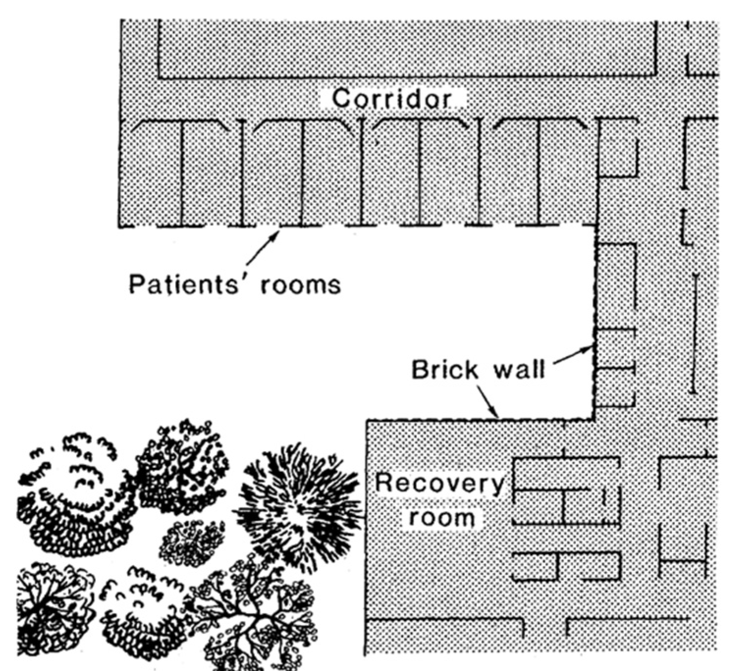 Architecture 03 00036 g007