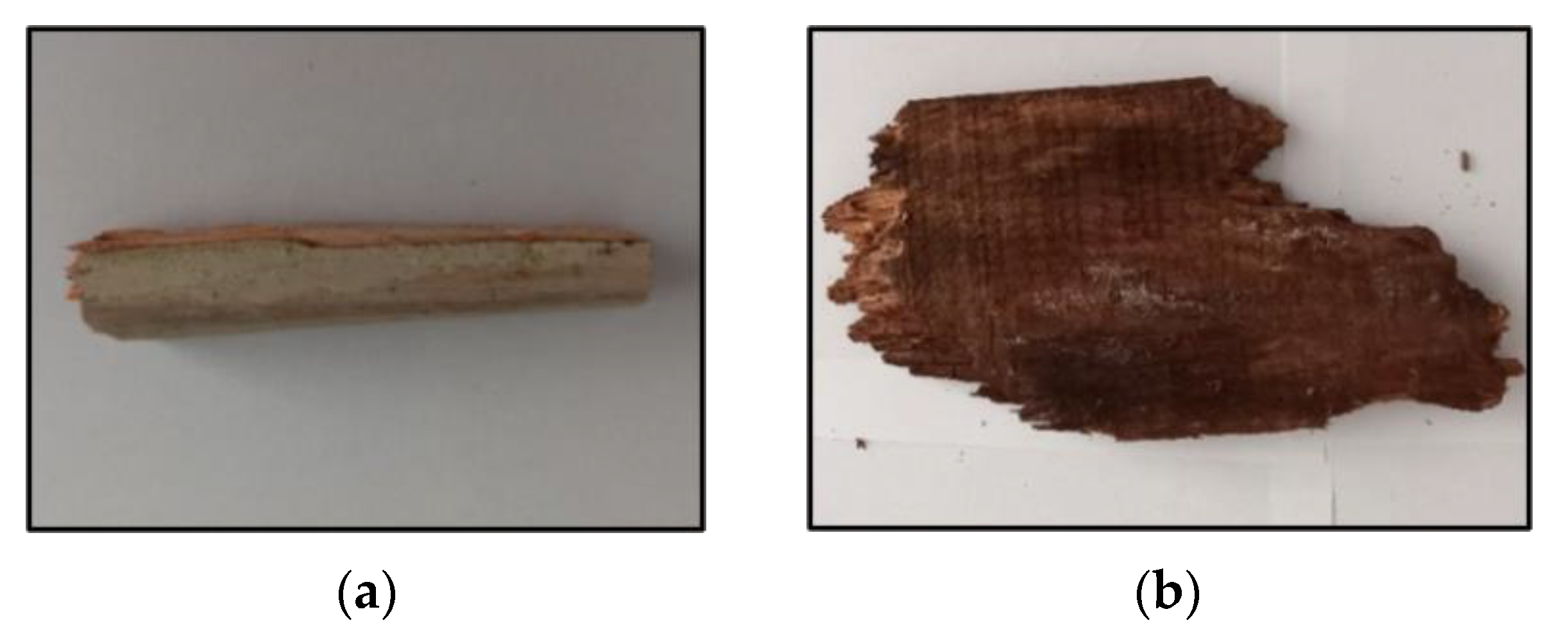 Architecture 04 00040 g004