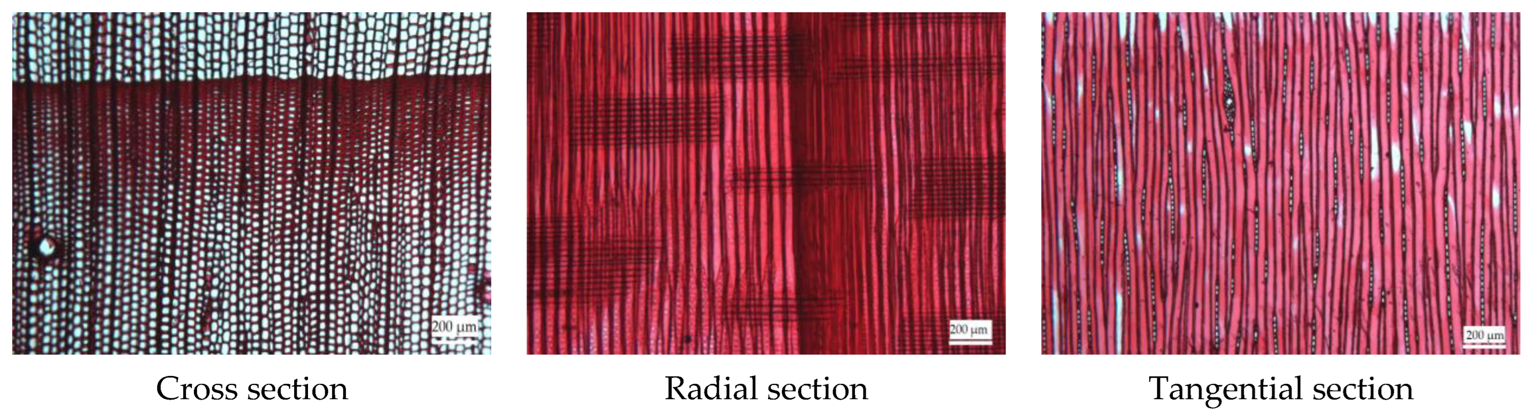 Architecture 04 00040 g011