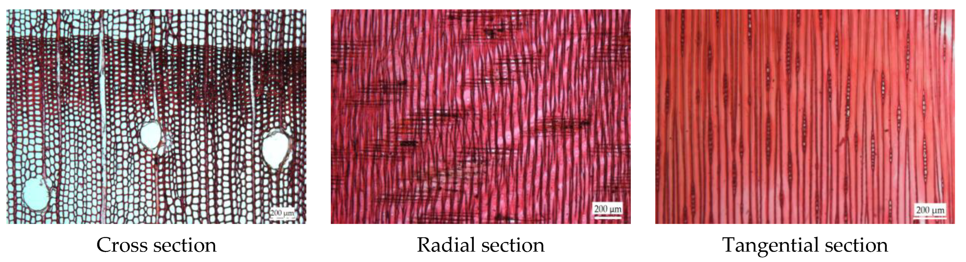 Architecture 04 00040 g012