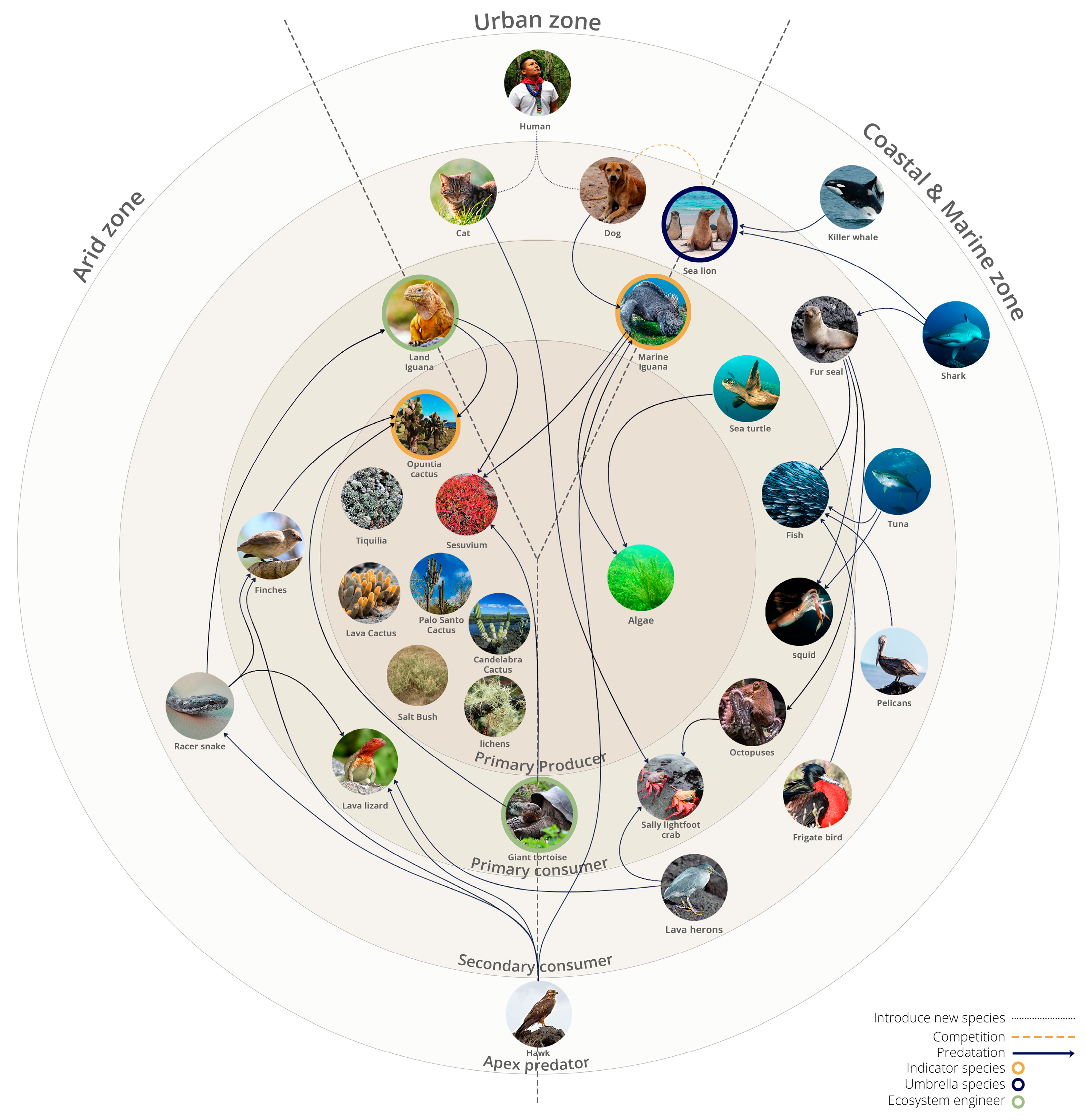 Architecture 04 00058 sch001