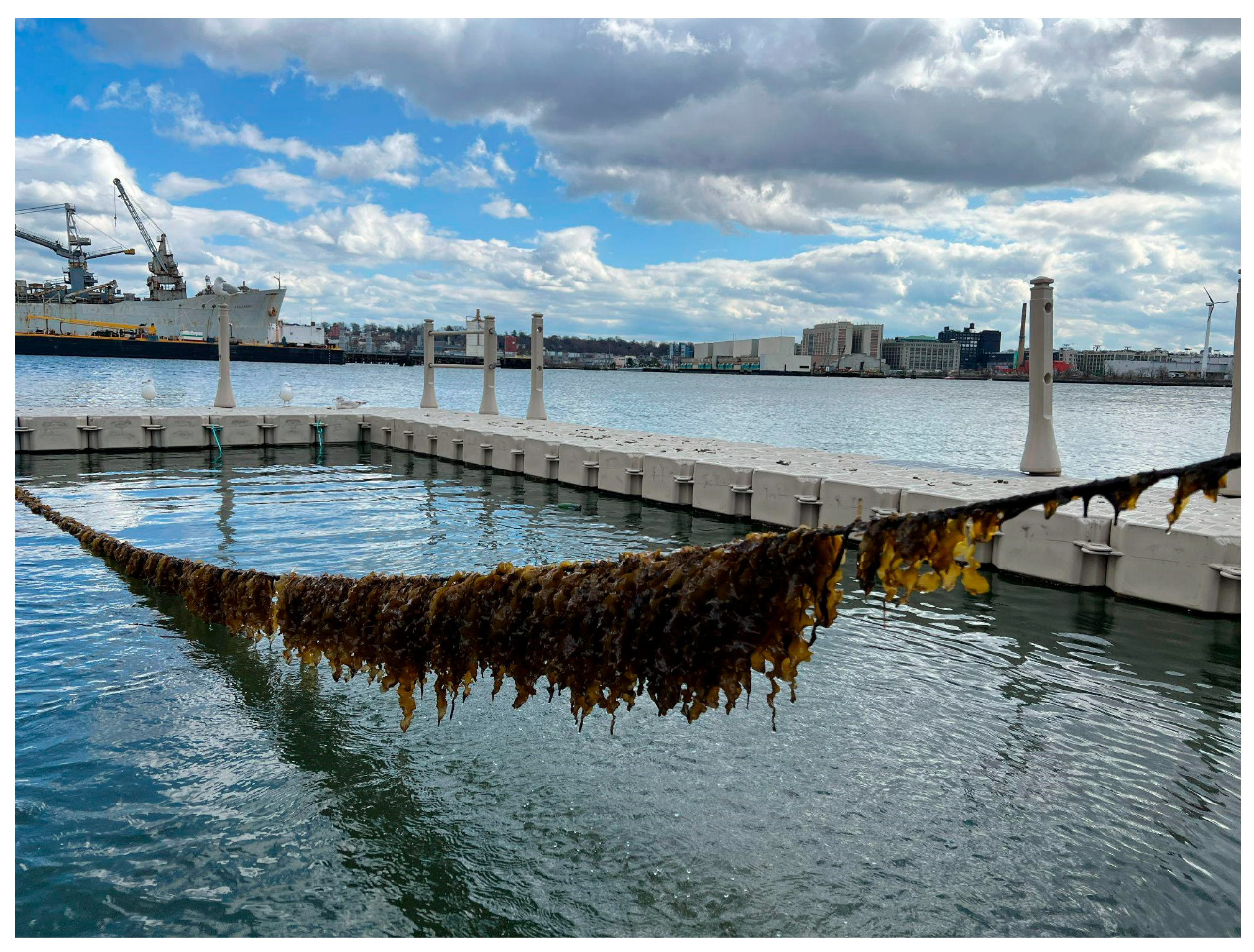 Architecture 05 00037 g017