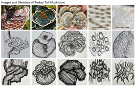 Architecture 05 00039 i008