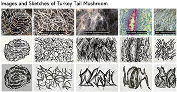 Architecture 05 00039 i009