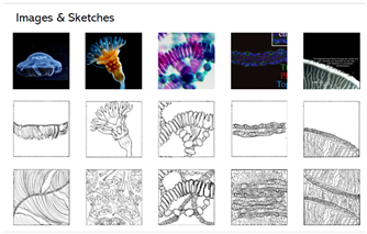 Architecture 05 00039 i016