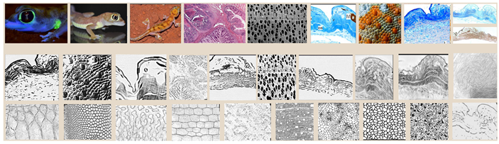 Architecture 05 00039 i028